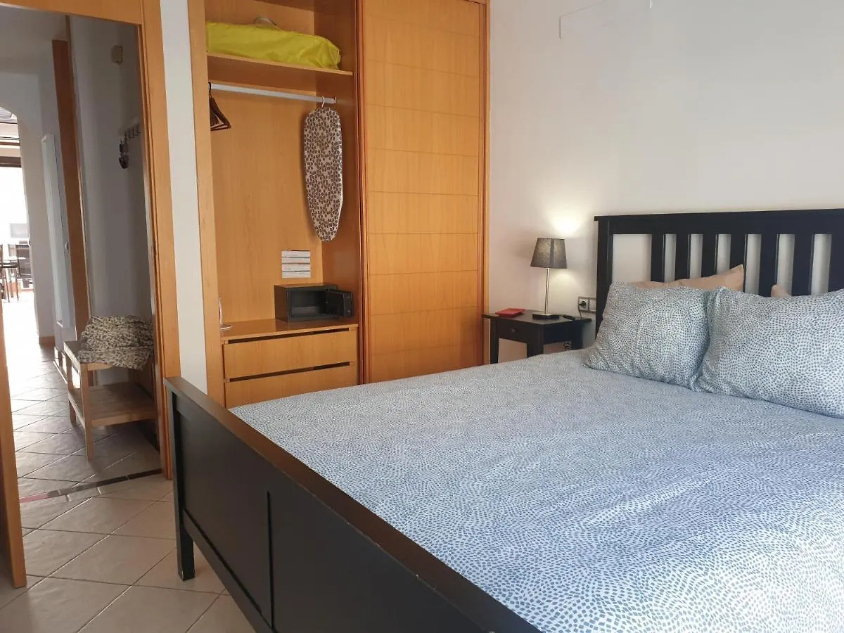 Adeje Paradise Apartments 阿德耶