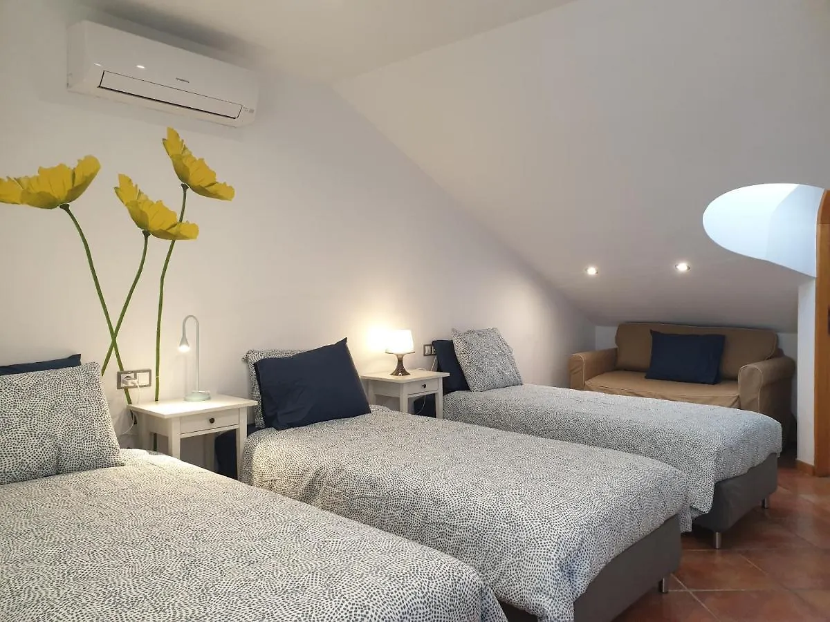 Adeje Paradise Apartments 阿德耶