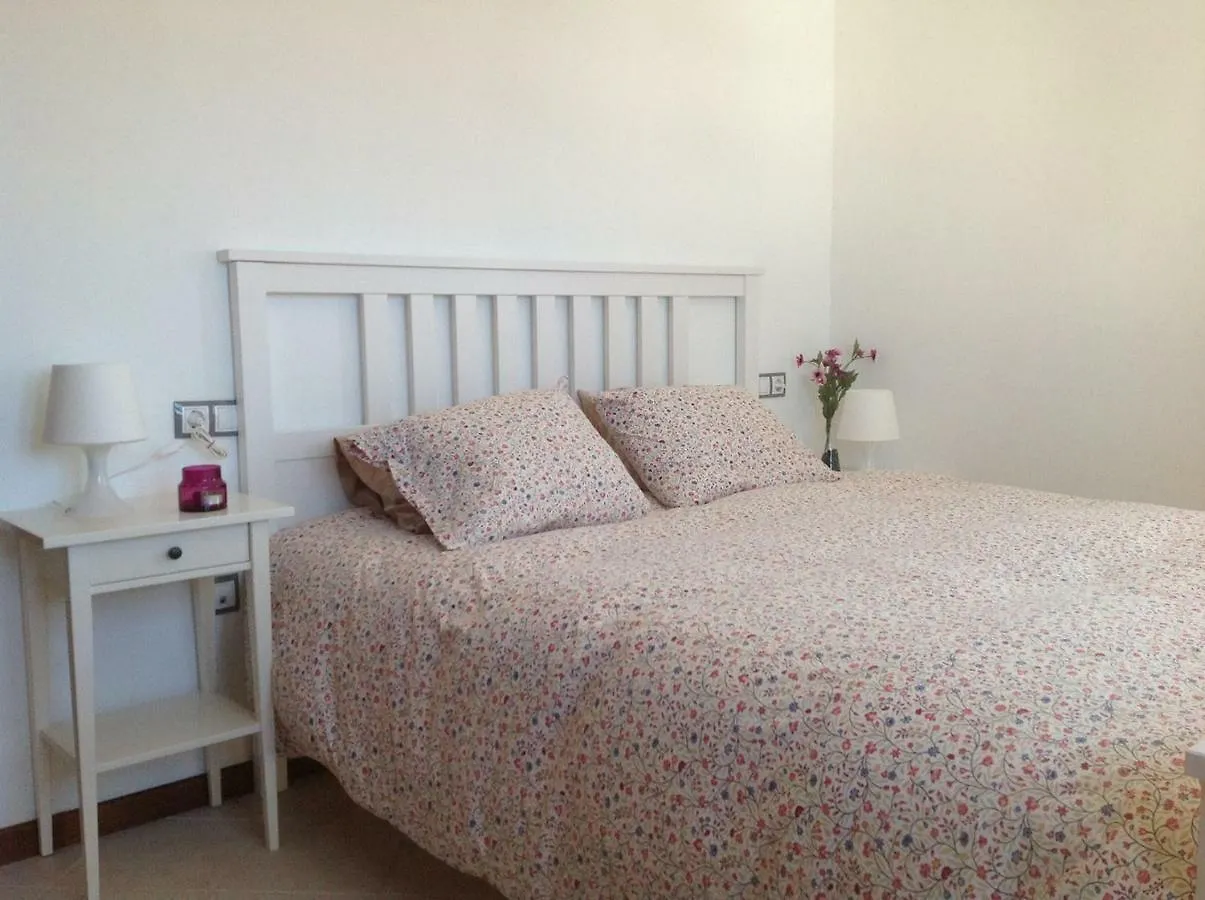 Adeje Paradise Apartments 阿德耶